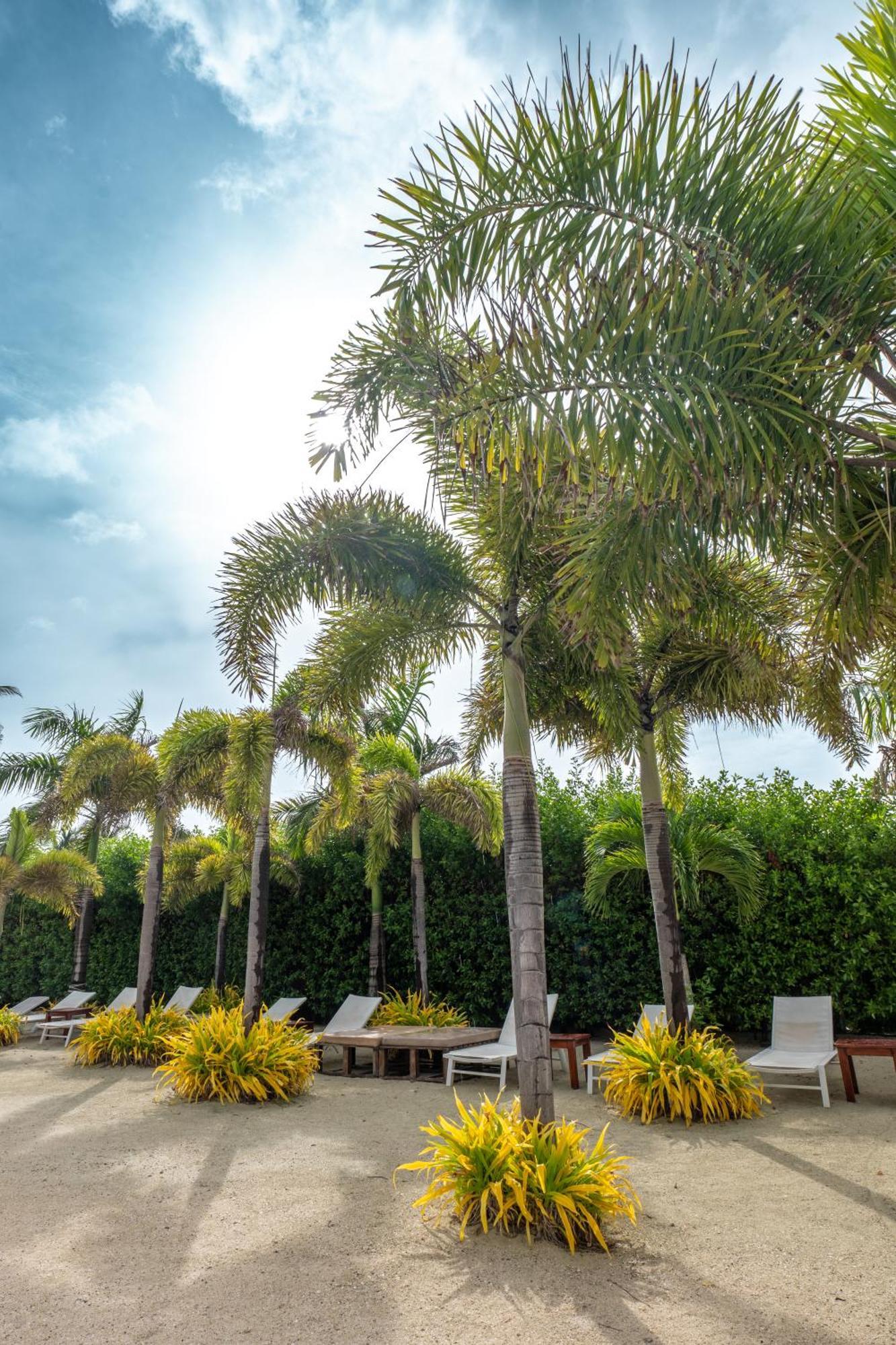 Arena Blanca By Dorado Hotel San Andrés